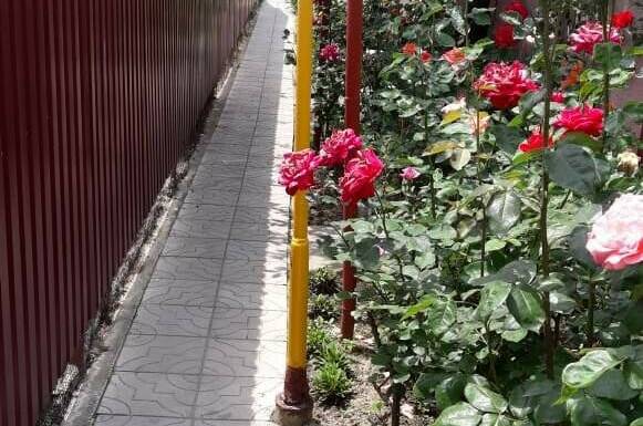 Изображение Изображение гостиницы &quot;Частный гостевой дом на Курганной&quot; #2 #2