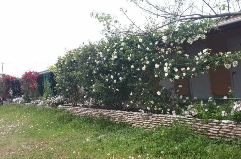 Изображение Изображение гостиницы "Гостевой дом в Оленевке" #8 #8