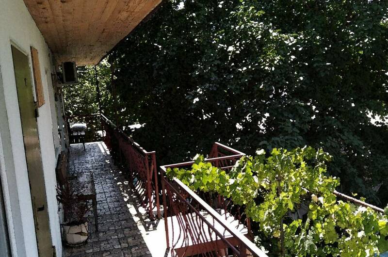 Изображение Изображение гостиницы &quot;Гостевой дом «Медуза»&quot; #5 #5