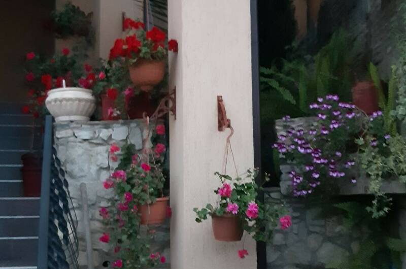 Изображение Изображение гостиницы "Гостевой дом «GreenWood»" #3 #3