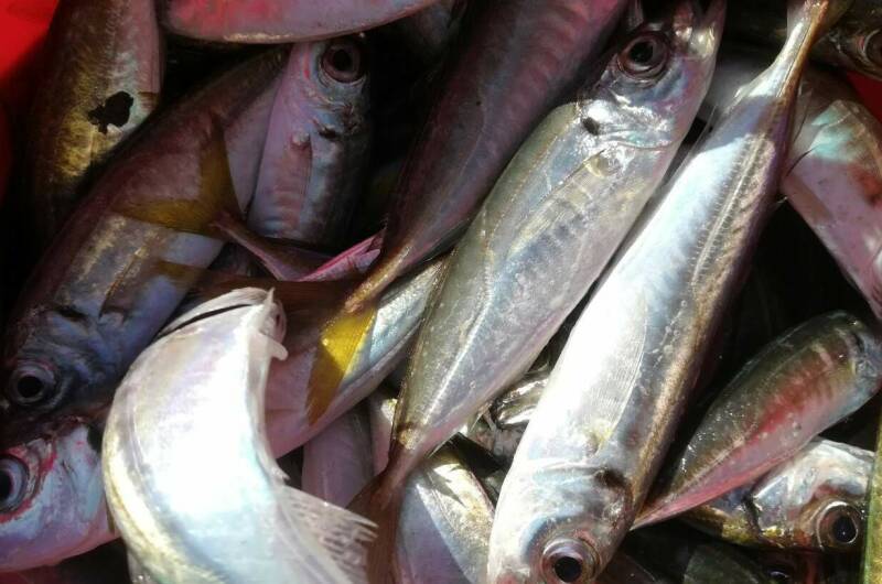 Изображение Изображение гостиницы &quot;Эллинг «Яхт-клуб Кайрос»&quot; #7 #7