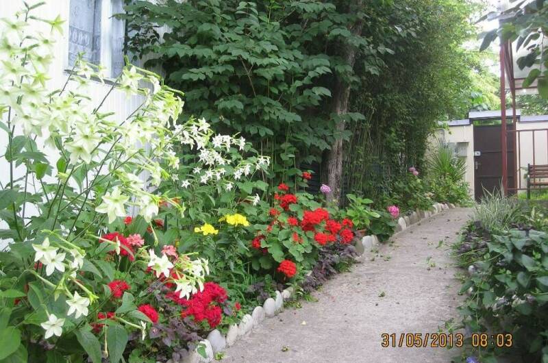 Изображение Изображение гостиницы &quot;Частный дом у моря&quot; #7 #7