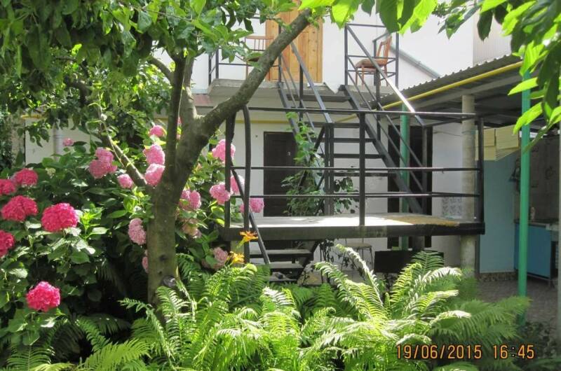 Изображение Изображение гостиницы &quot;Частный дом у моря&quot; #8 #8