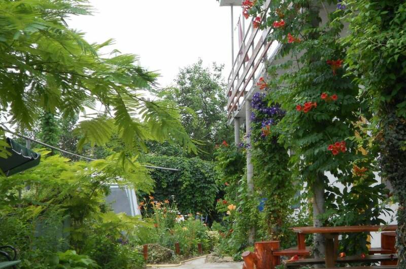 Изображение Изображение гостиницы &quot;Частный сектор «Цветочный рай»&quot; #1 #1