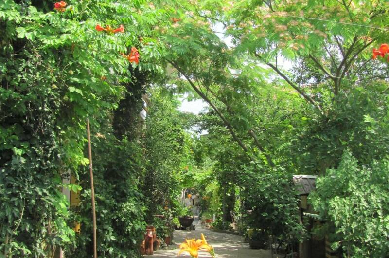 Изображение Изображение гостиницы &quot;Частный сектор «Цветочный рай»&quot; #3 #3