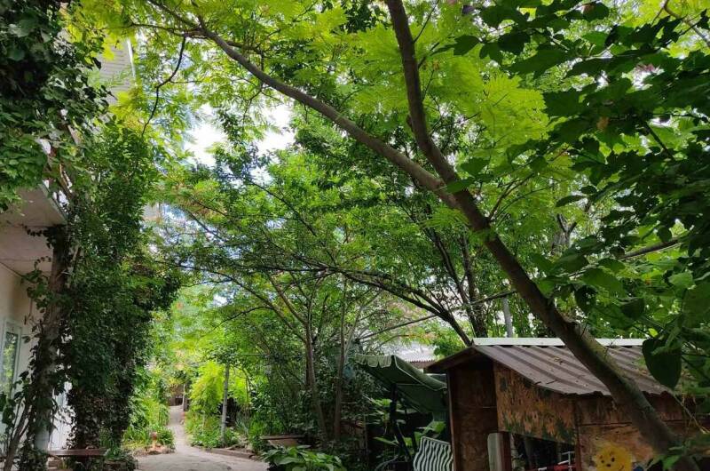 Изображение Изображение гостиницы &quot;Частный сектор «Цветочный рай»&quot; #4 #4