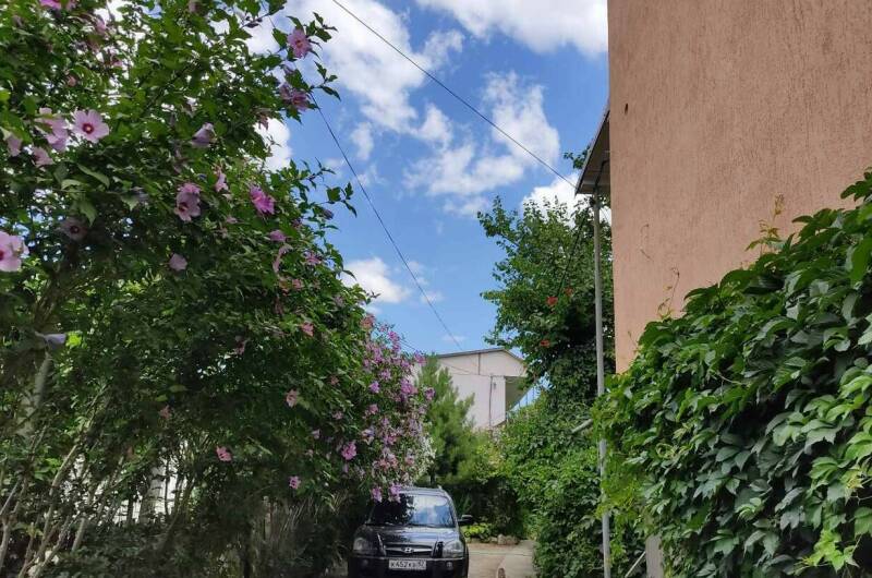 Изображение Изображение гостиницы &quot;Частный сектор «Цветочный рай»&quot; #8 #8