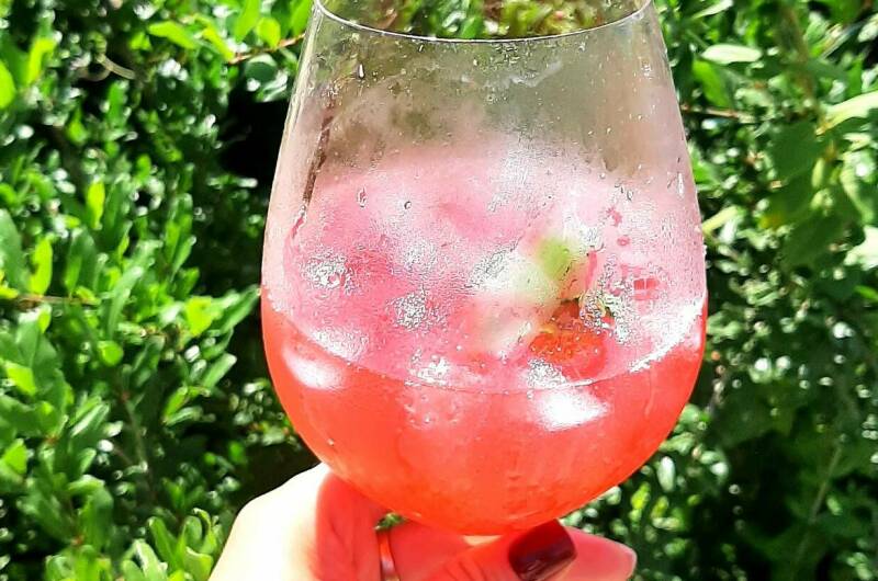 Изображение Изображение гостиницы &quot;Гостевой дом «Кактус»&quot; #2 #2