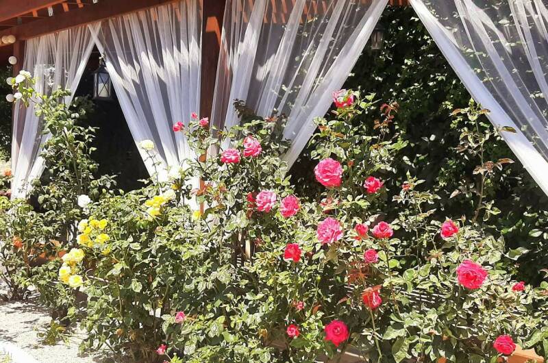 Изображение Изображение гостиницы &quot;Гостевой дом «Кактус»&quot; #6 #6