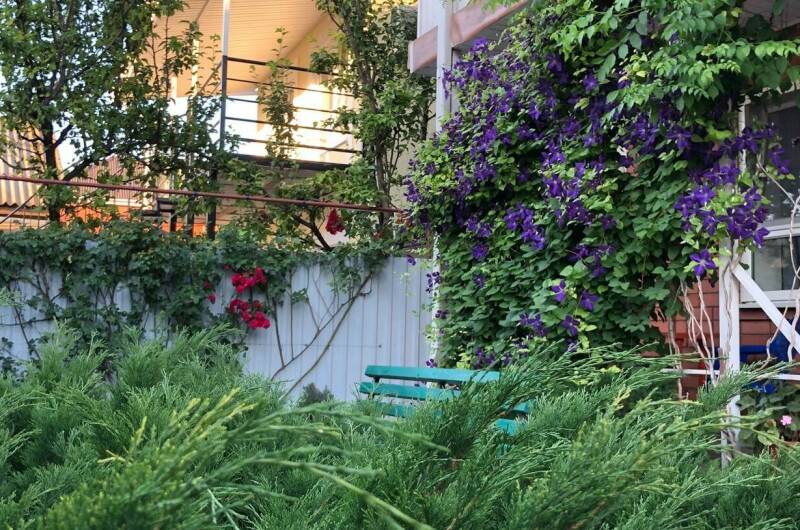 Изображение Изображение гостиницы &quot;Гостевой дом «Дуняша»&quot; #8 #8