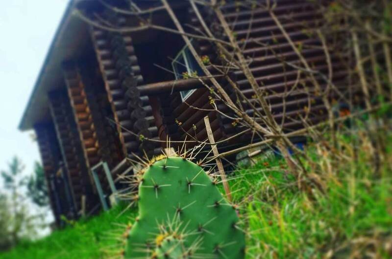 Изображение Изображение квартиры "ЭкоУсадьба «Сказка»" #8 #8