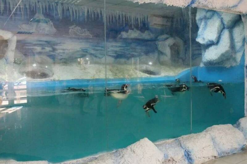 Изображение Изображение гостиницы &quot;Гостевой дом «Панорама»&quot; #4 #4