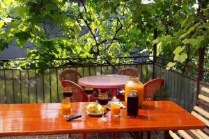 Изображение гостиницы "Гостевой дом «Лоза»"