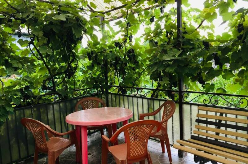 Изображение Изображение отеля / гостиницы "Гостевой дом «Лоза»" #10 #8