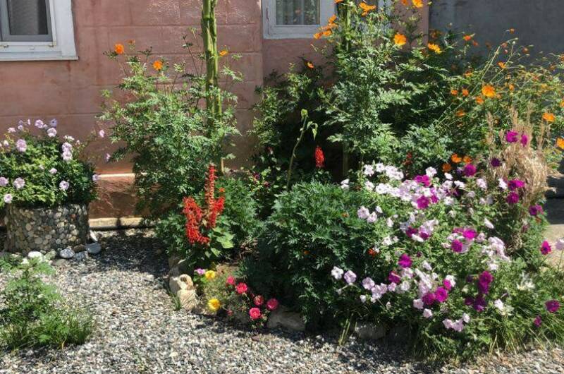 Изображение Изображение гостиницы "Частный сектор на Шаумяна" #5 #5