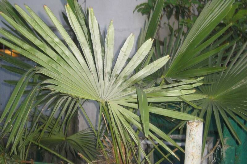 Изображение Изображение отеля / гостиницы "Гостевой дом «Тихий уголок»" #11 #9