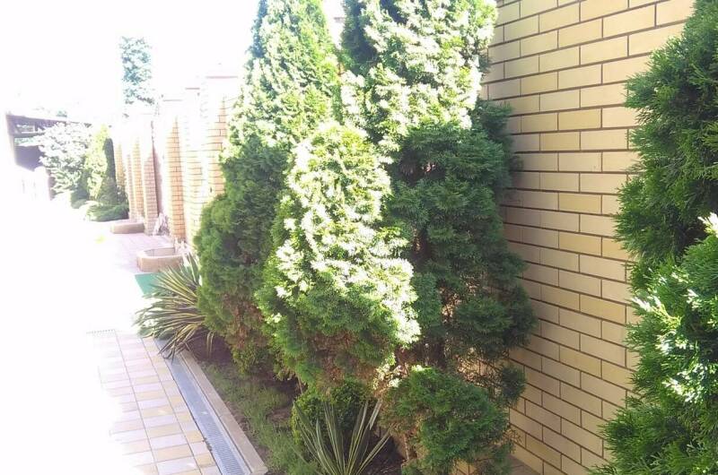 Изображение Изображение гостиницы "Частное домовладение «Астория»" #8 #8