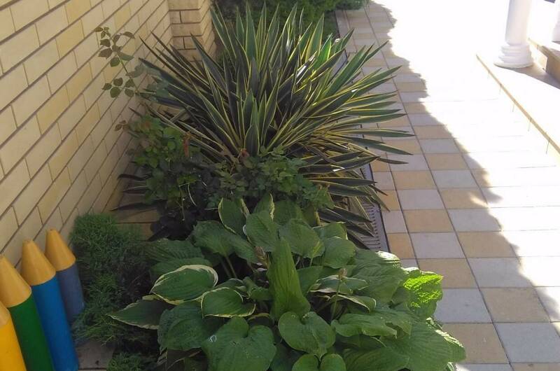 Изображение Изображение отеля / гостиницы "Частное домовладение «Астория»" #11 #9