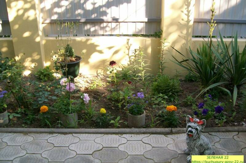 Изображение Изображение гостиницы &quot;Частный сектор «Зеленая 22»&quot; #2 #2