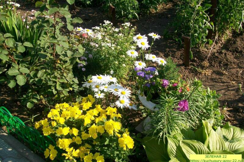 Изображение Изображение гостиницы &quot;Частный сектор «Зеленая 22»&quot; #5 #5