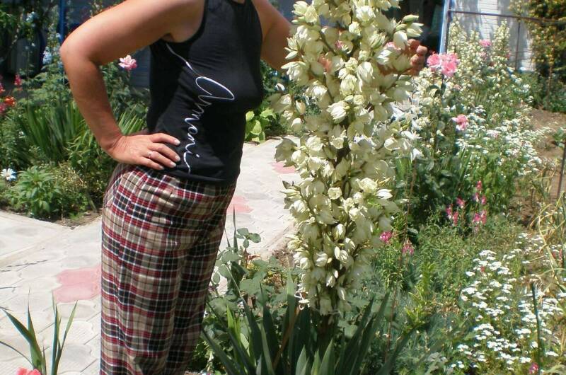 Изображение Изображение отеля / гостиницы "Частный сектор «Зеленая 22»" #11 #9