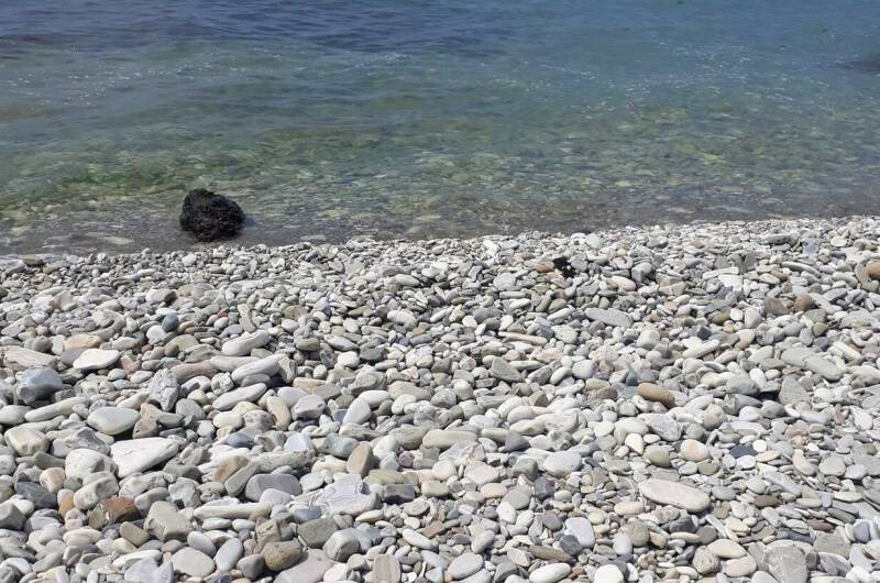 Изображение Изображение гостиницы "Гостевой дом на Дунайской" #4 #4