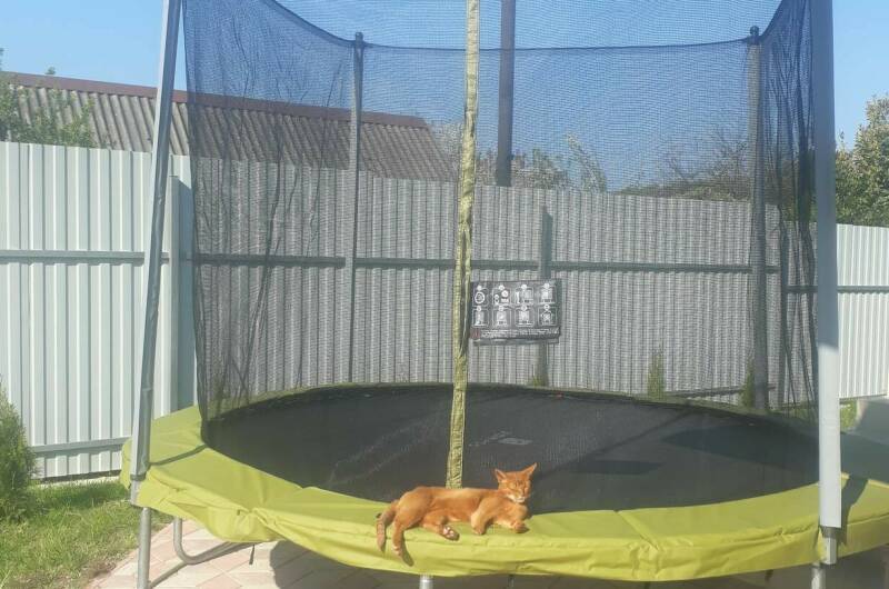 Изображение Изображение отеля / гостиницы "Гостевой дом на Дунайской" #11 #9