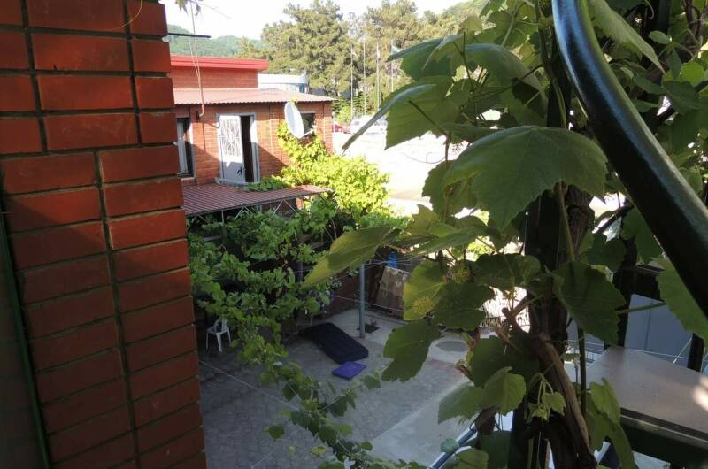 Изображение Изображение гостиницы &quot;Гостевой дом «Южный Двор»&quot; #2 #2