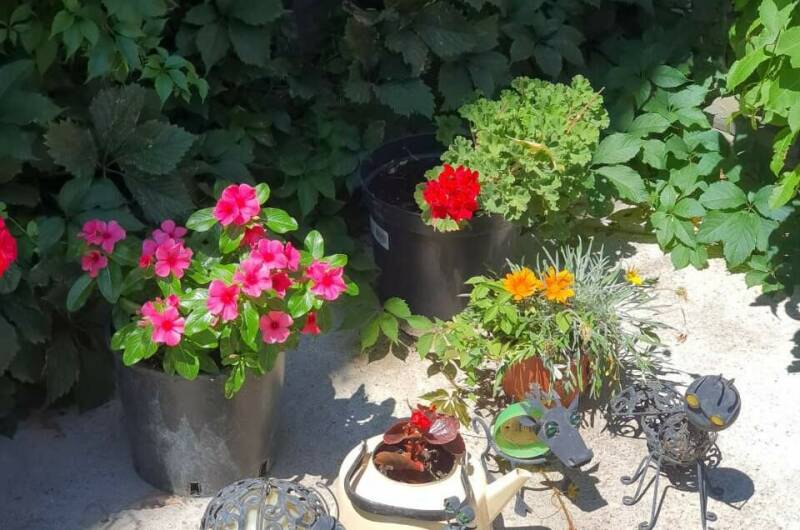 Изображение Изображение гостиницы "Частный сектор «У Натальи»" #2 #2