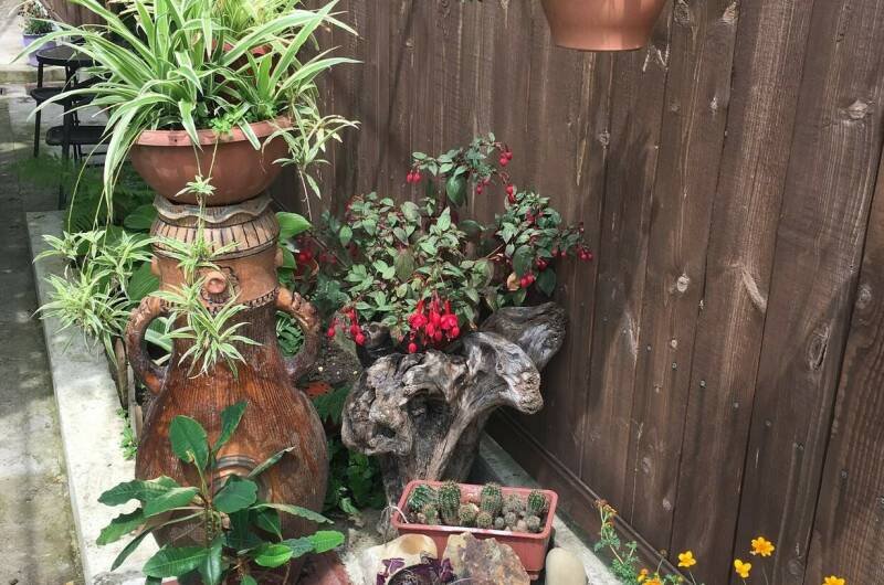 Изображение Изображение гостиницы "Частный сектор «У Натальи»" #3 #3