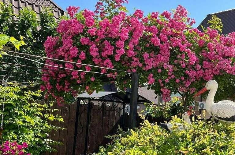 Изображение Изображение гостиницы "Частный сектор «У Натальи»" #8 #8