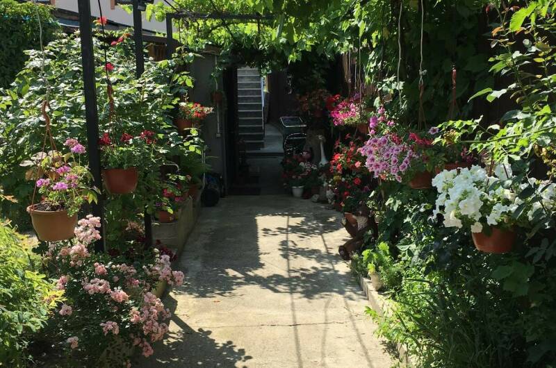 Изображение Изображение отеля / гостиницы "Частный сектор «У Натальи»" #11 #9