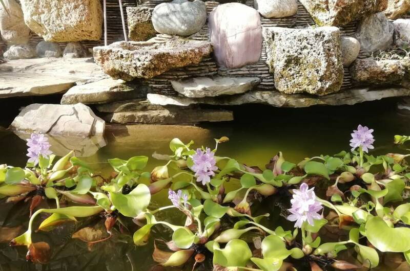 Изображение Изображение гостиницы &quot;Частный сектор «Solar»&quot; #6 #6