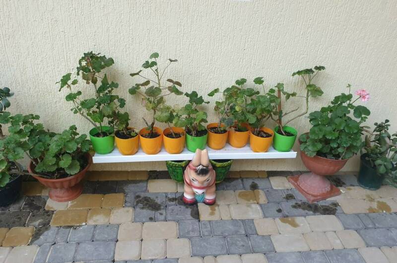 Изображение Изображение гостиницы "Гостевой дом «Надежда»" #4 #4