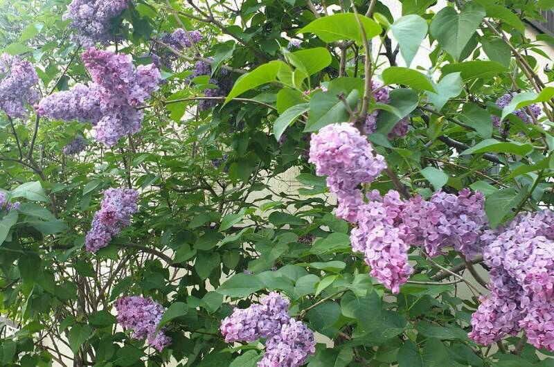 Изображение Изображение гостиницы "Гостевой дом «Надежда»" #6 #6