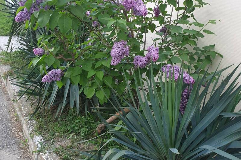 Изображение Изображение гостиницы "Гостевой дом «Надежда»" #8 #8