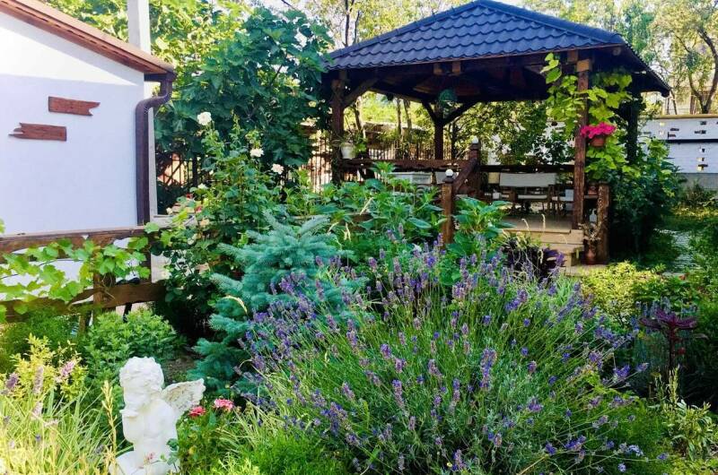 Изображение Изображение гостиницы "Гостевой дом «Терраса»" #6 #6