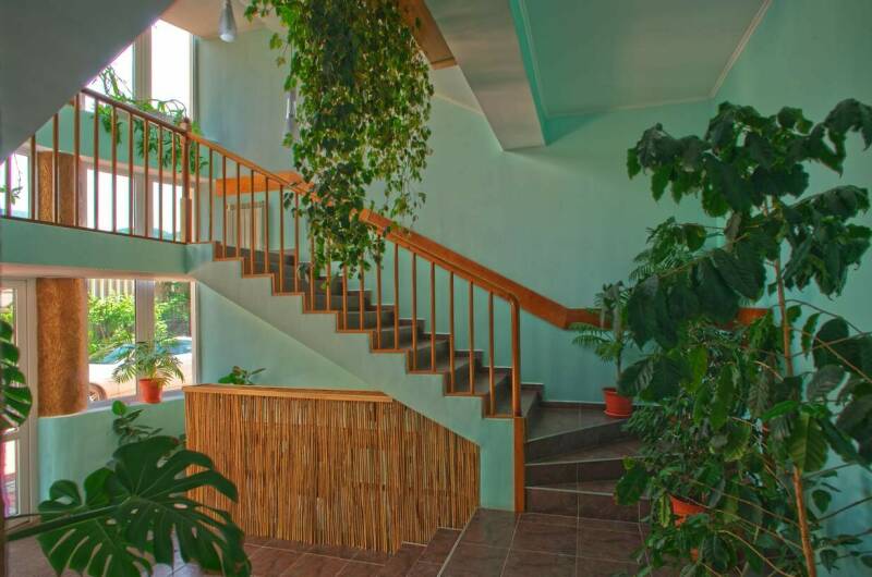 Изображение Изображение гостиницы &quot;Гостевой дом «МаркоПолоСочи»&quot; #8 #8