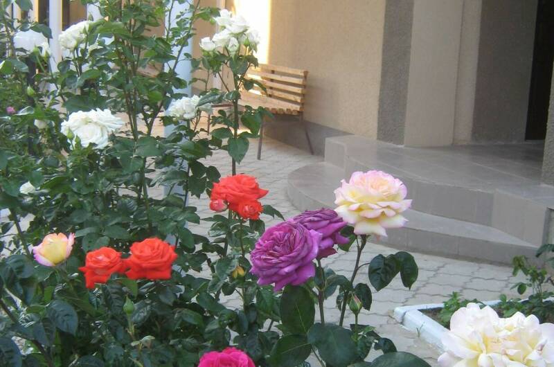 Изображение Изображение гостиницы &quot;Гостевой дом «Елена»&quot; #1 #1