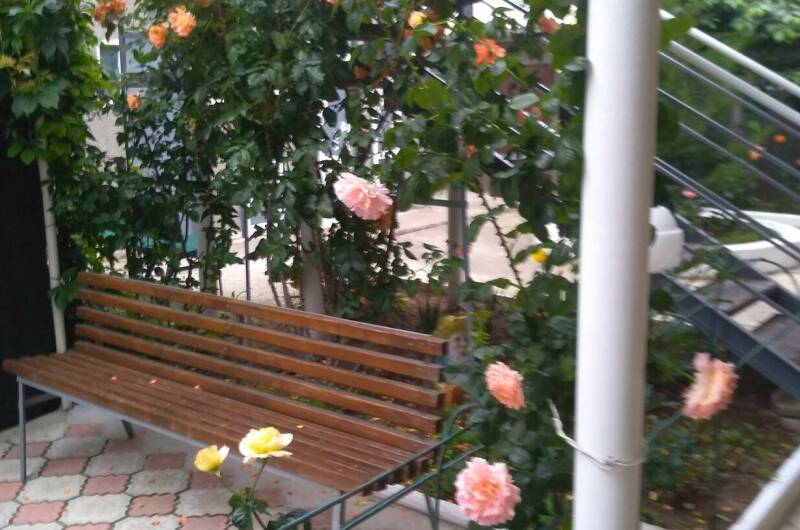 Изображение Изображение гостиницы &quot;Гостевой дом «Елена»&quot; #6 #6