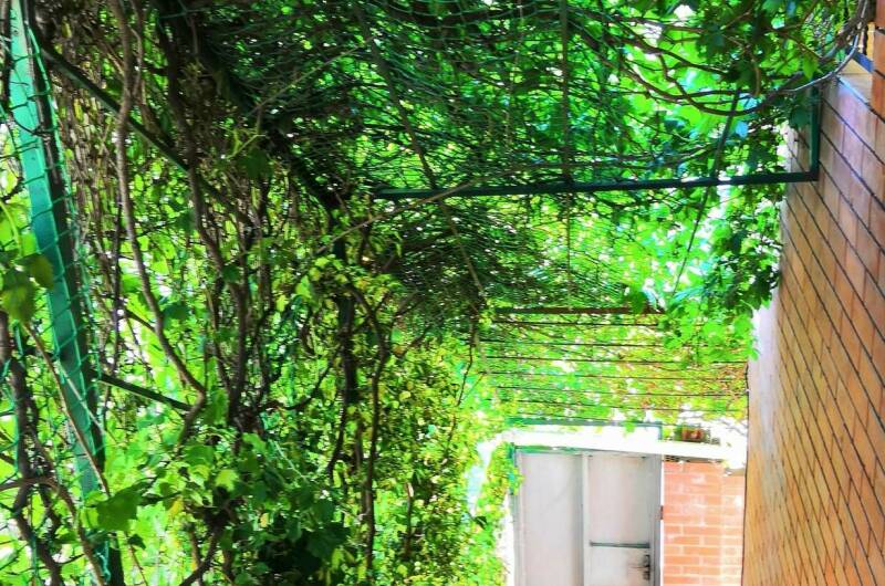 Изображение Изображение гостиницы "Гостевой дом «Южанка»" #4 #4