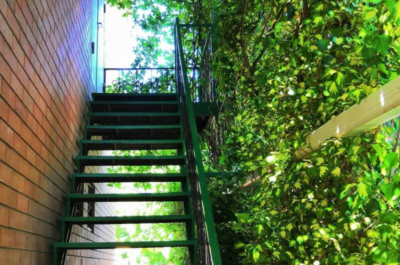 Изображение Изображение гостиницы "Гостевой дом «Южанка»" #6 #6