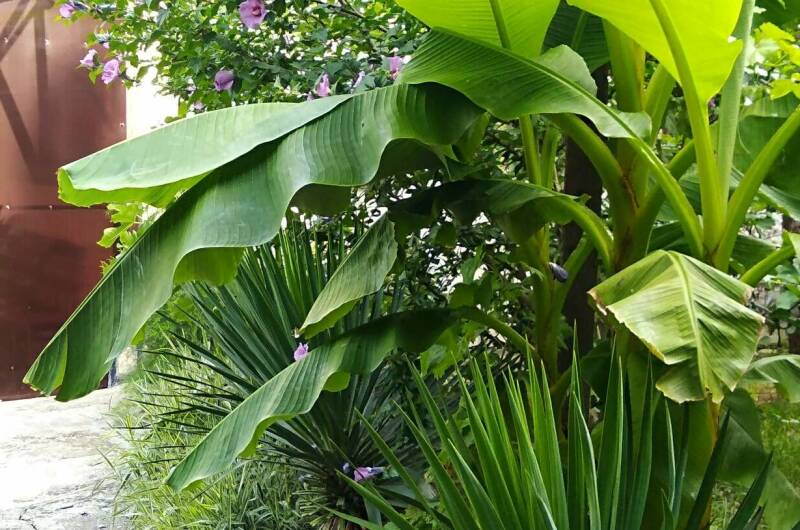 Изображение Изображение гостиницы &quot;Коттеджи «У Люси»&quot; #1 #1