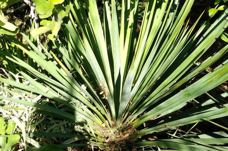 Изображение Изображение гостиницы &quot;Коттеджи «У Люси»&quot; #4 #4