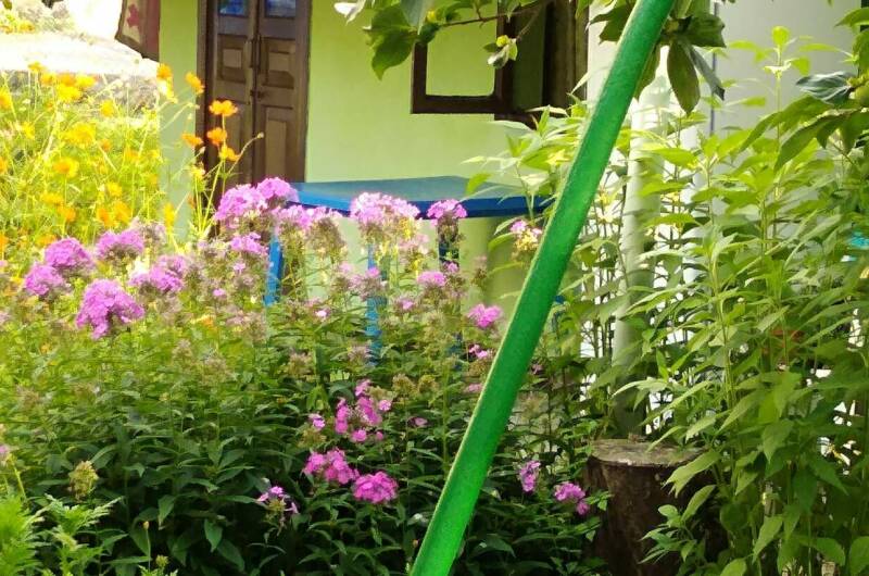 Изображение Изображение гостиницы &quot;Коттеджи «У Люси»&quot; #8 #8