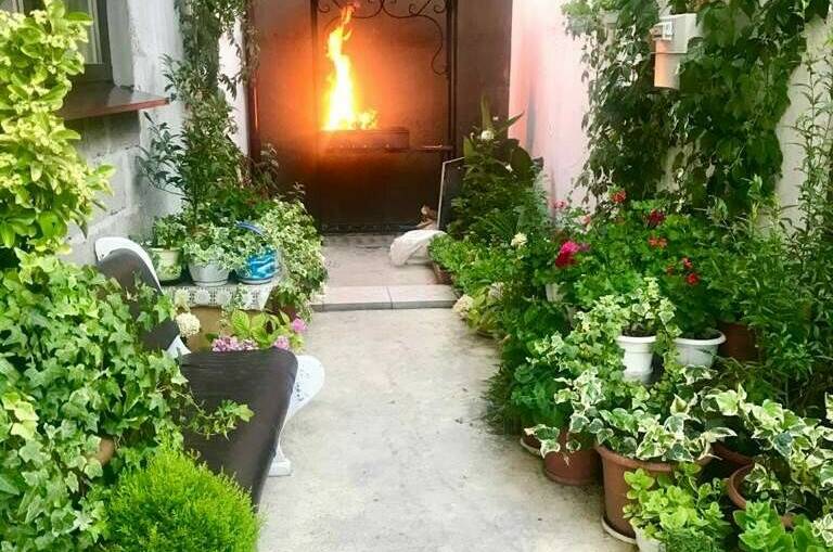 Изображение Изображение гостиницы &quot;Гостевой дом «Южный»&quot; #5 #5