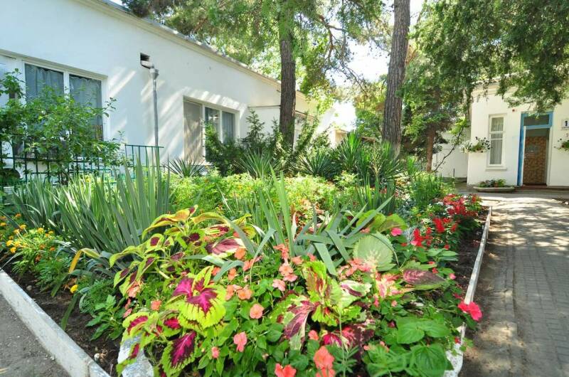 Изображение Изображение гостиницы &quot;База отдыха «Голубые Ели»&quot; #1 #1