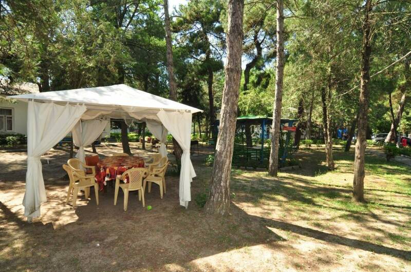 Изображение Изображение гостиницы &quot;База отдыха «Голубые Ели»&quot; #5 #5