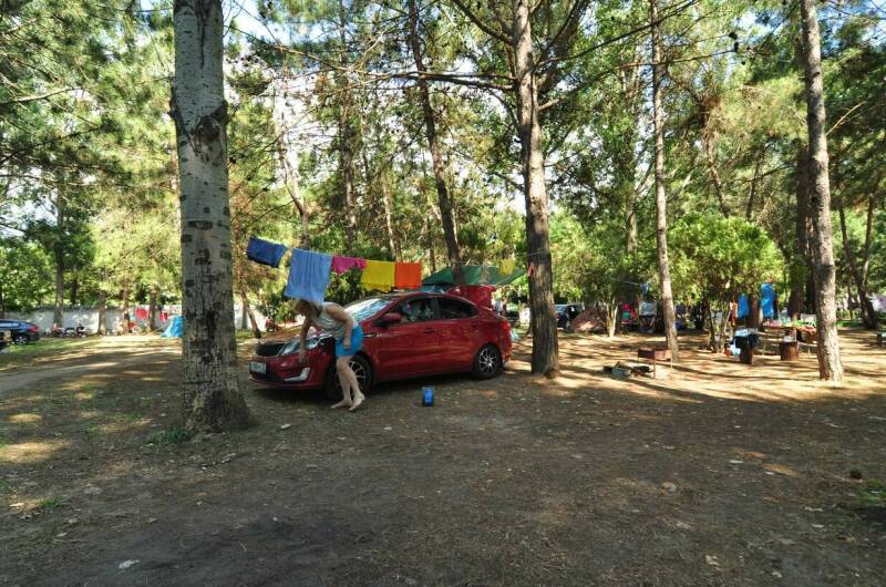 Изображение Изображение гостиницы &quot;База отдыха «Голубые Ели»&quot; #7 #7