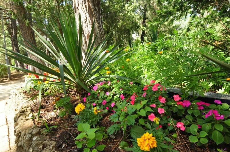 Изображение Изображение гостиницы &quot;База отдыха «Голубые Ели»&quot; #8 #8